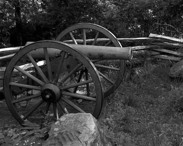 cultural exchange enjoyer tweet media