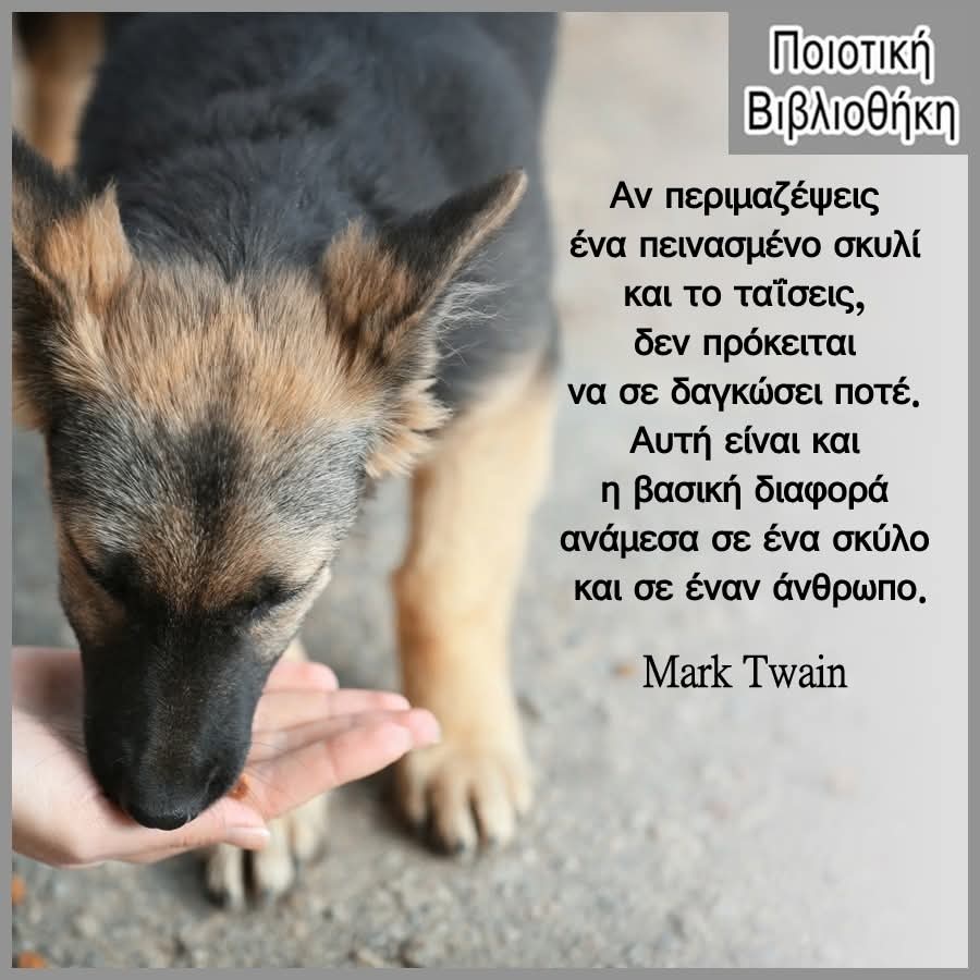 AnimalsPress tweet media