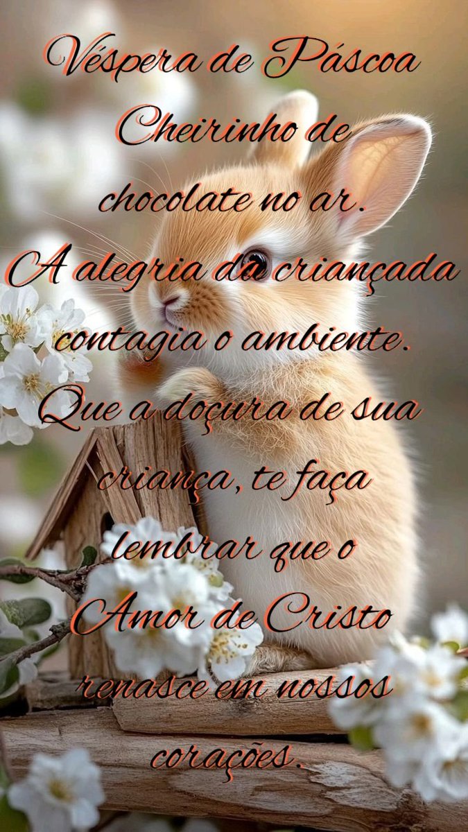 Liliane Rey tweet media