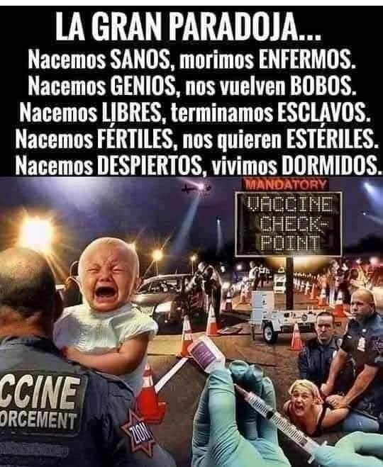 Anabella 🇦🇷 tweet media