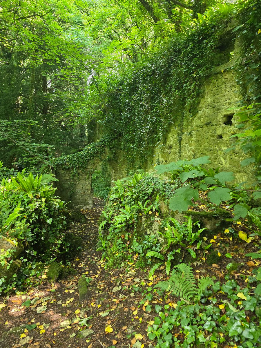 Golden Dawn tweet media