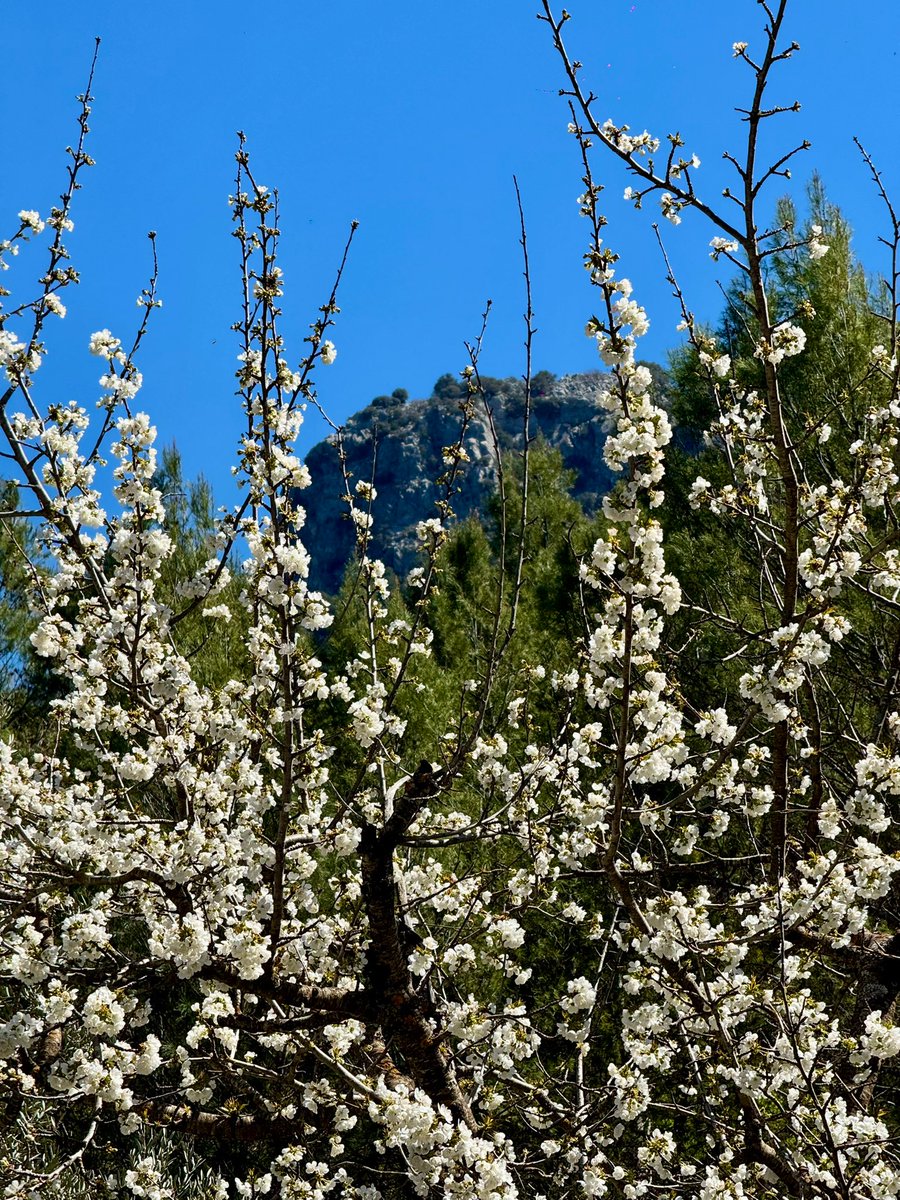 ۞ Sonrisillas ۞ tweet media