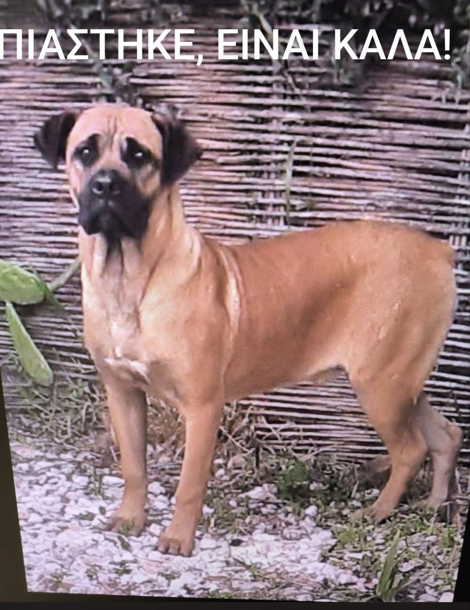 elina mpounia tweet media