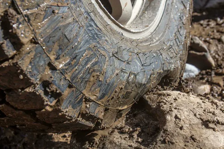 4 Frig Sakes tweet media