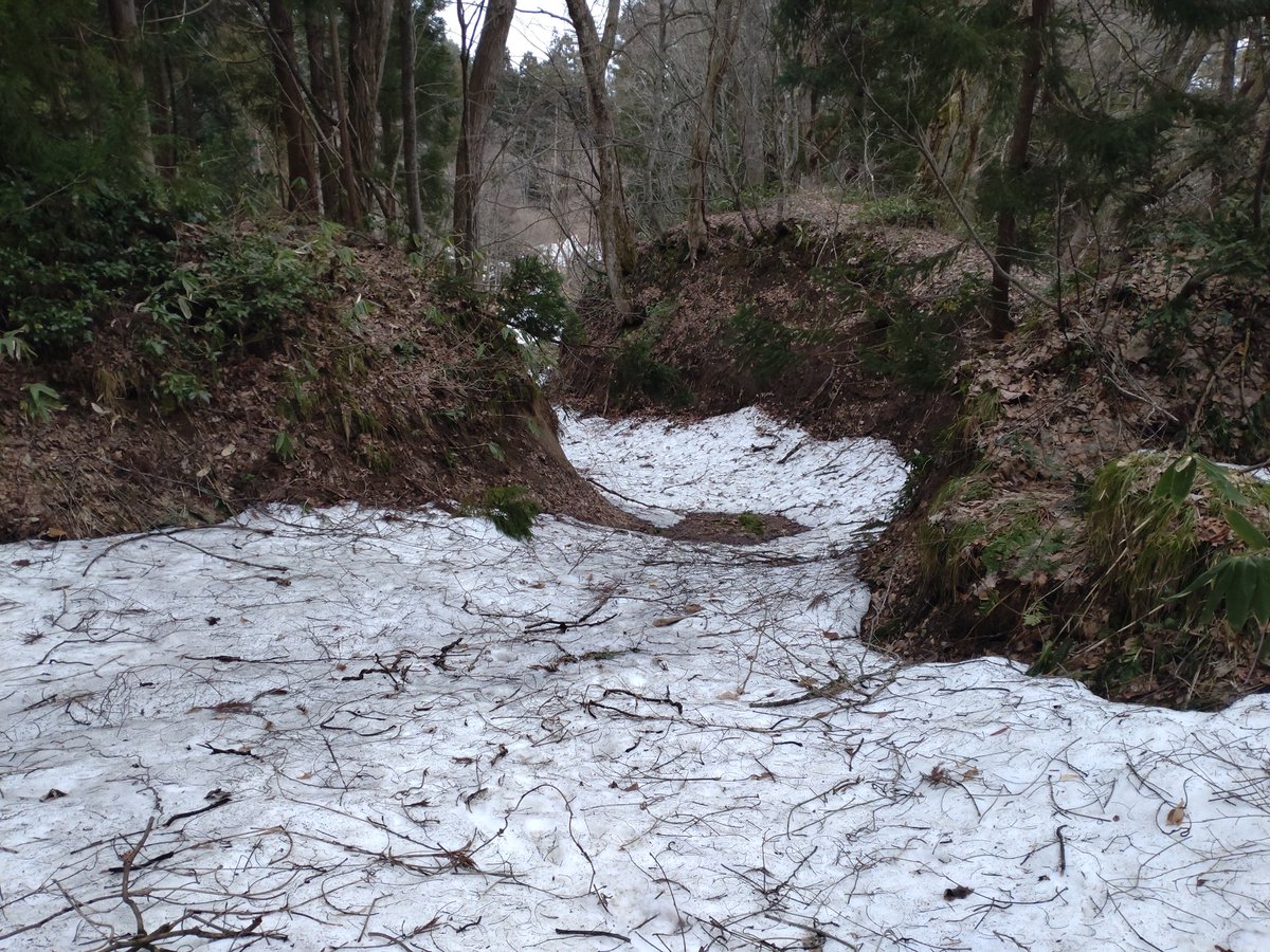 傳八郎 tweet media