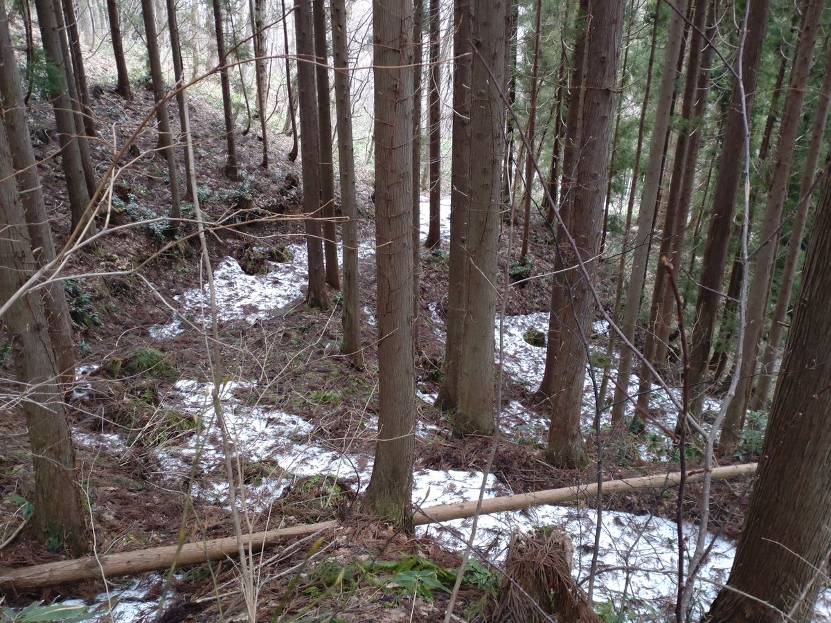 傳八郎 tweet media