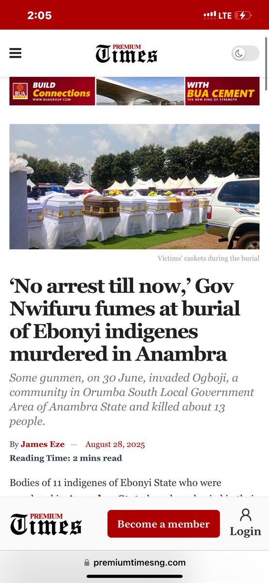 Blue Kites tweet media