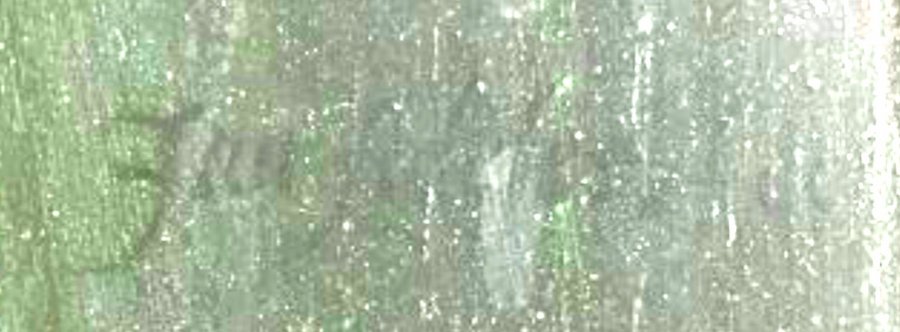 Kees Teszelszky  tweet media