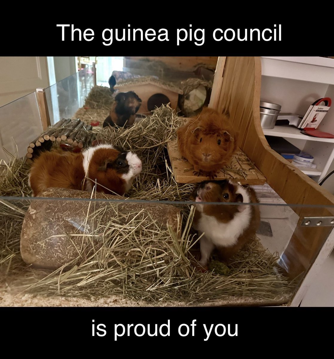 Anna Rebella, the woman, the myth, the legend tweet media