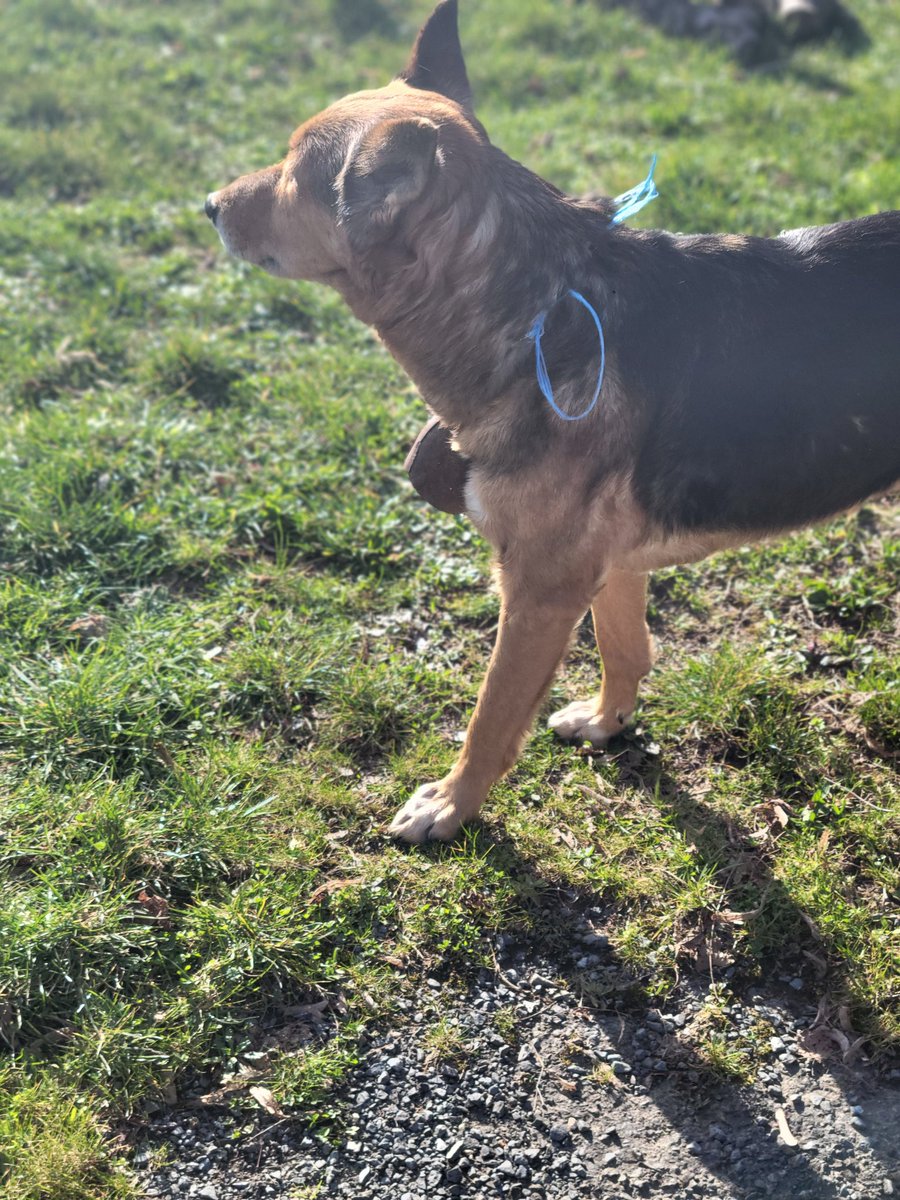 DavidMo 🦎 tweet media