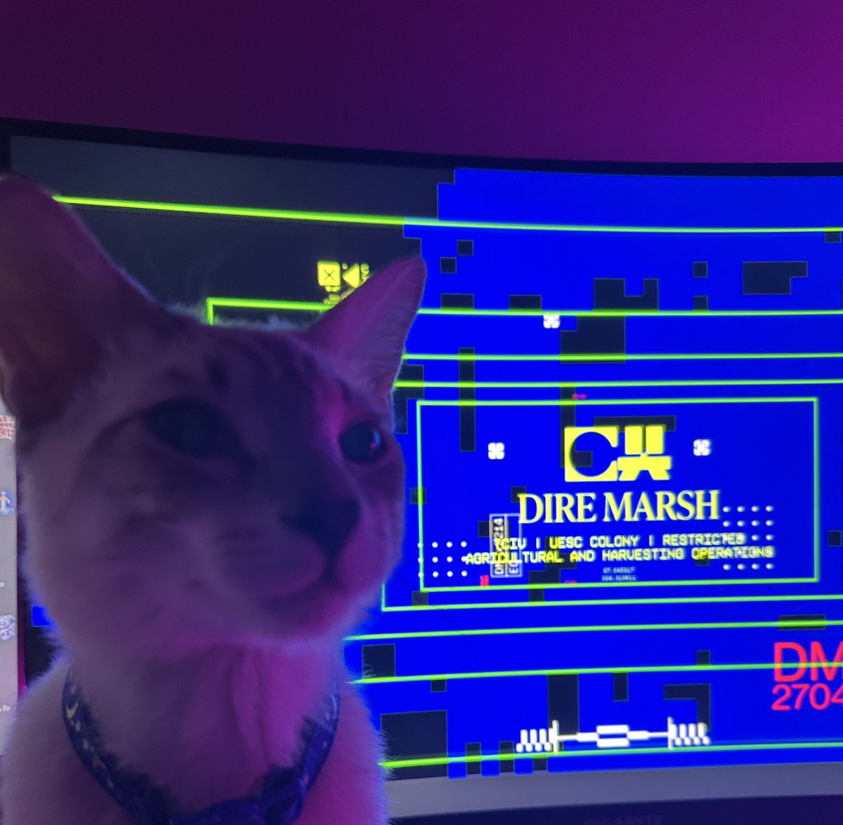 Fern ₍^._.^₎ 𐒡 tweet media