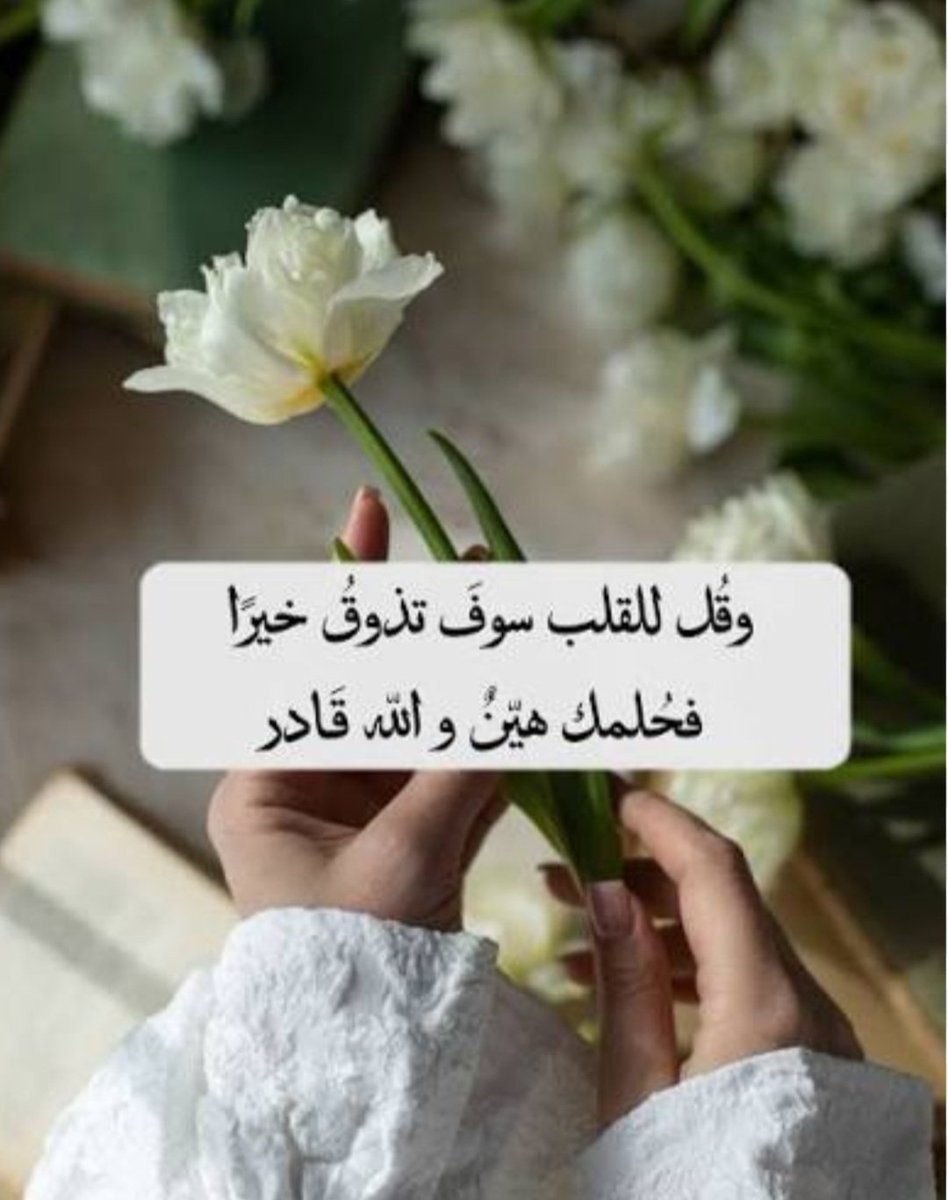 خالد بن سالم tweet media