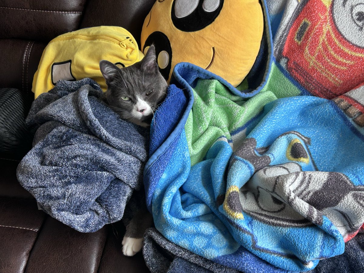 Katherine Bracken tweet media