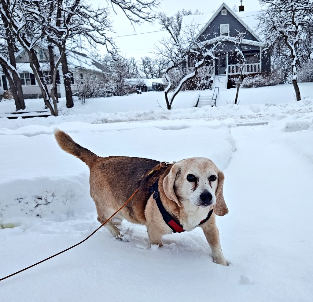 Ferguson y Jasper tweet media