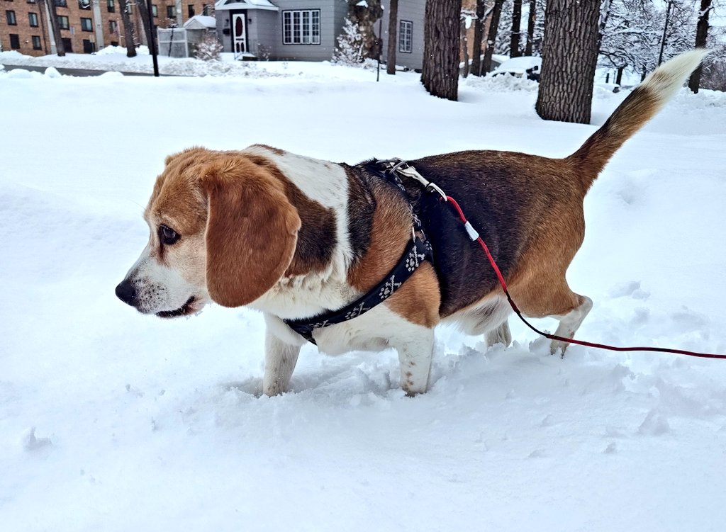 Ferguson y Jasper tweet media