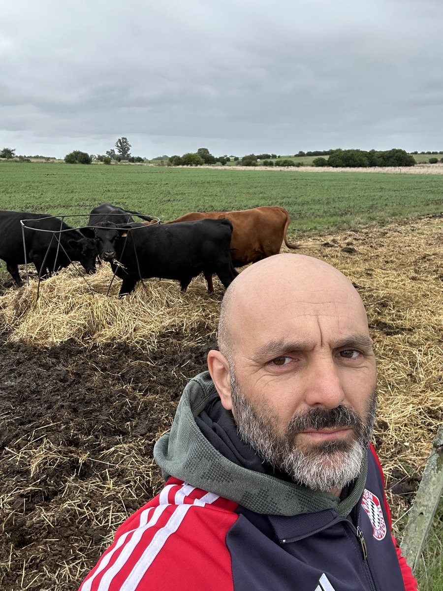 Andrés Bentancor tweet media