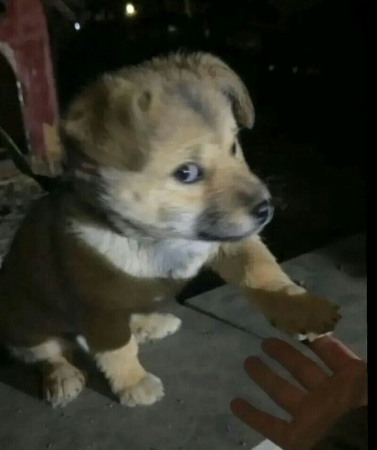 ஆர்thur tweet media