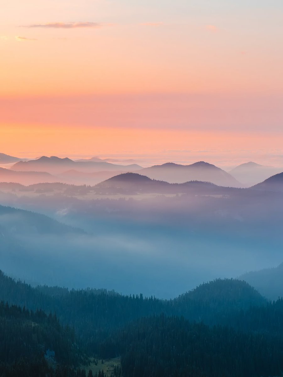 𝘄𝗮𝗻𝗱𝗲𝗿𝘁𝗿𝗮𝘃𝗲𝗹𝘀 tweet media