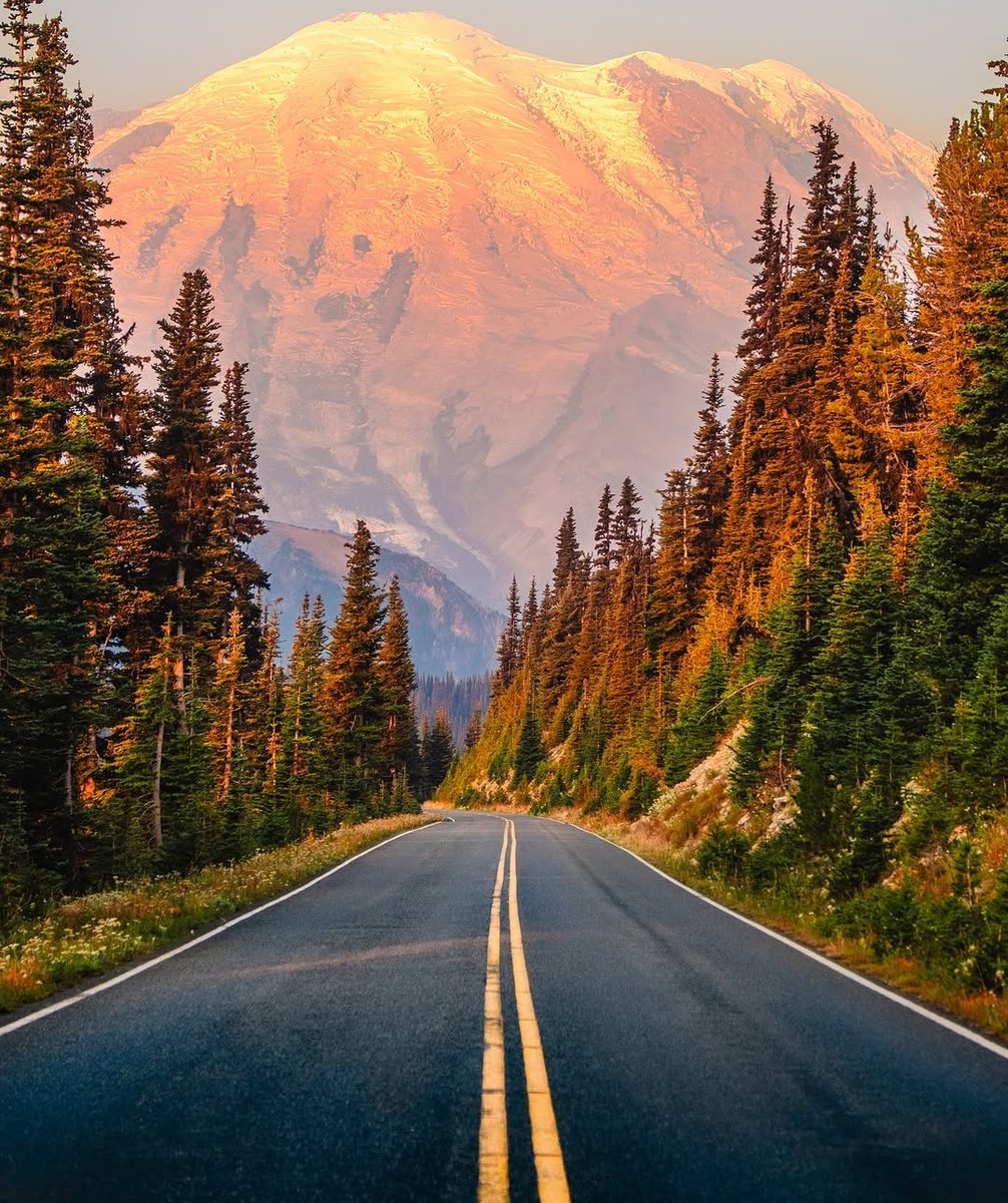 𝘄𝗮𝗻𝗱𝗲𝗿𝘁𝗿𝗮𝘃𝗲𝗹𝘀 tweet media