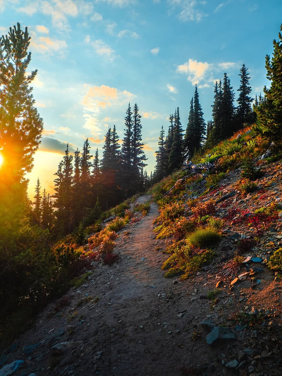 𝘄𝗮𝗻𝗱𝗲𝗿𝘁𝗿𝗮𝘃𝗲𝗹𝘀 tweet media