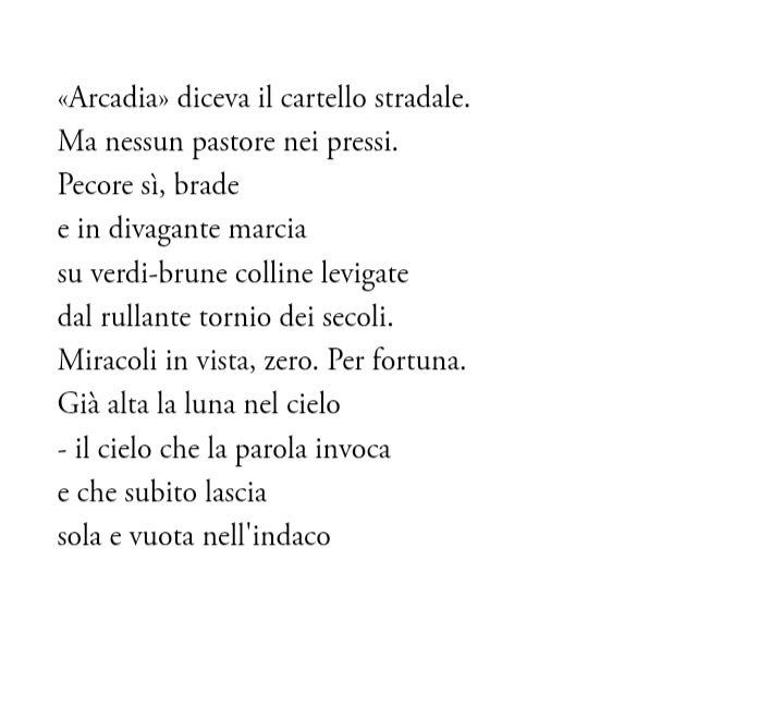 "Pasqua di neve" 
di Enrico Testa 

#versidivita ✍