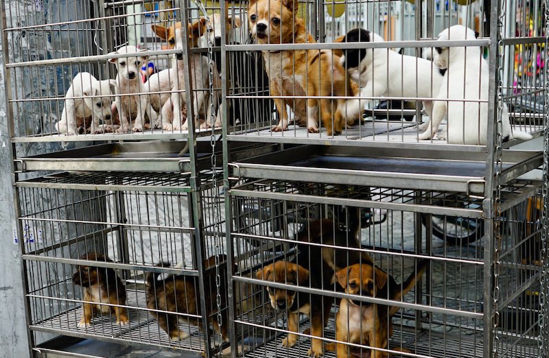 LUCÍA Oxenford tweet media