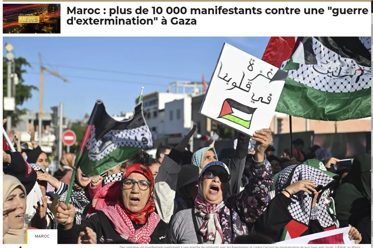 🇲🇦👑 Tsuga 🕵️ ⵜⵙⵓⴳⴰ 🇲🇦👑🌟🌟 tweet media