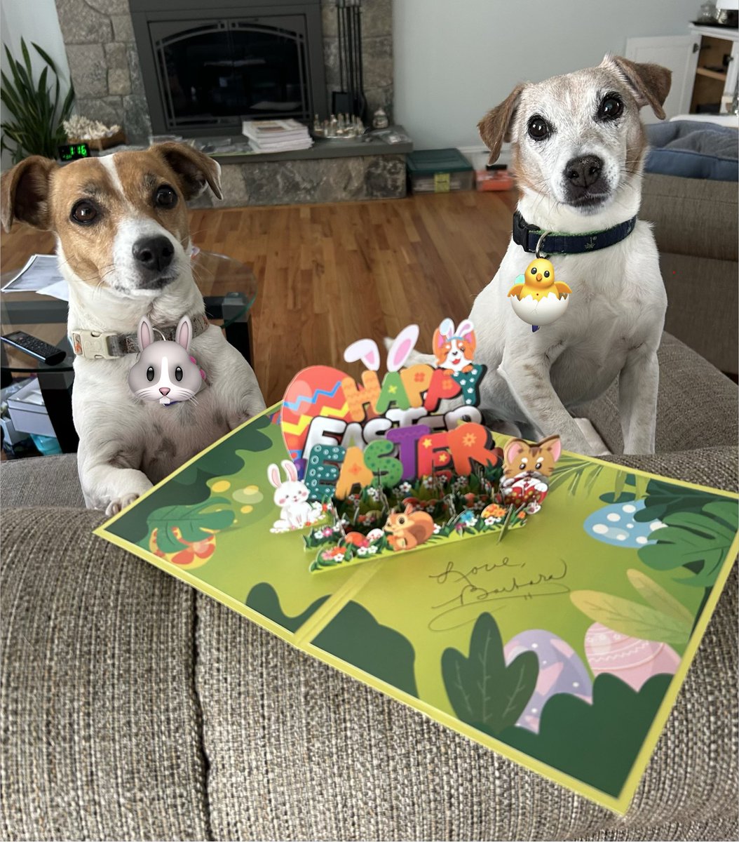 Baby Beatrice & Little Bear tweet media