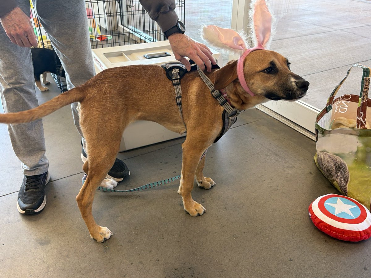 Winter 🇺🇸❤️🤍💙 tweet media