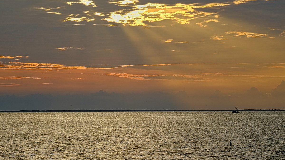 iso.roam tweet media