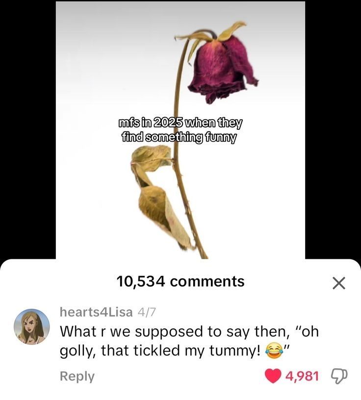 dinosaur tweet media