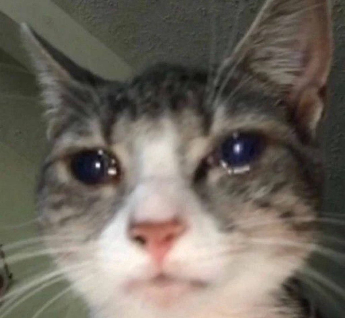 DennisZero | Music Producer tweet media