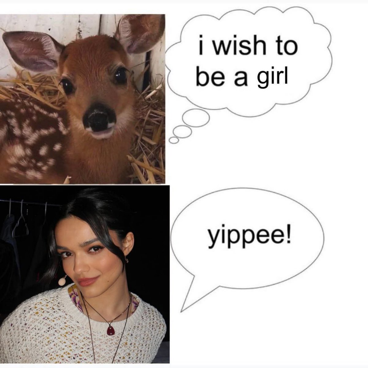 jack 𓏲ּ𝄢 in mourning tweet media