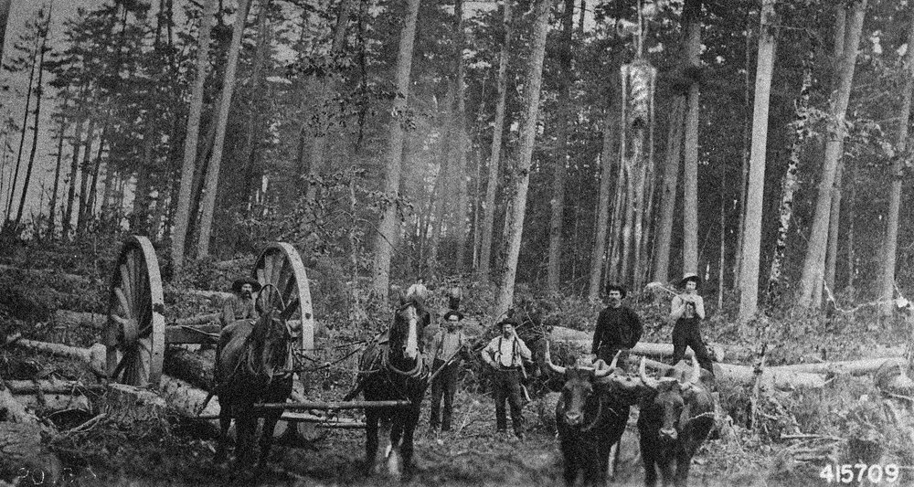 mike wazaisque/Sadelr0 tweet media