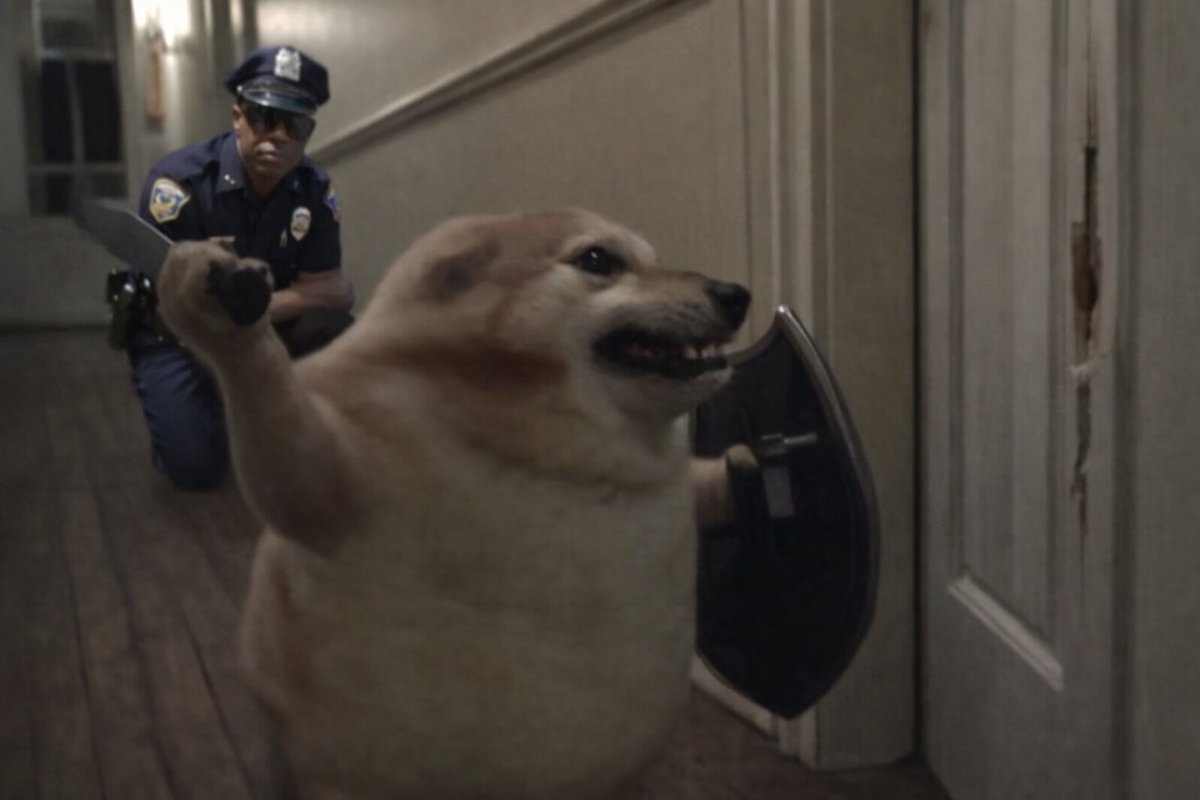 Username (Shark) tweet media