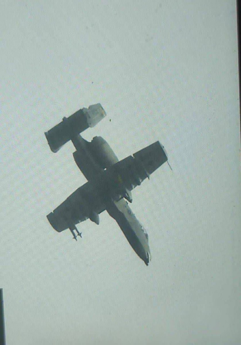 Vigorous Falcon tweet media