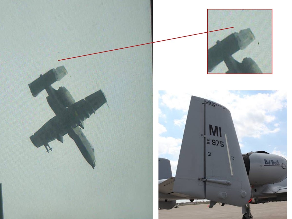 Vigorous Falcon tweet media