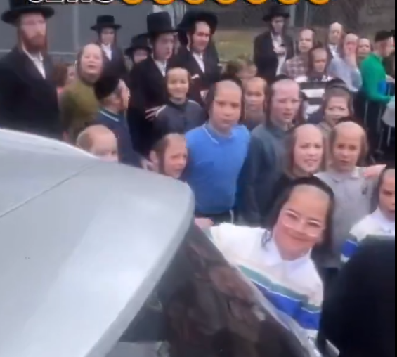 𝖕𝖑𝖚𝖌𝖌𝖘𝖎 🎹🎶🎼 🥷🙈🙉🙊 tweet media