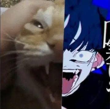 Tarn_reivax🥝 tweet media