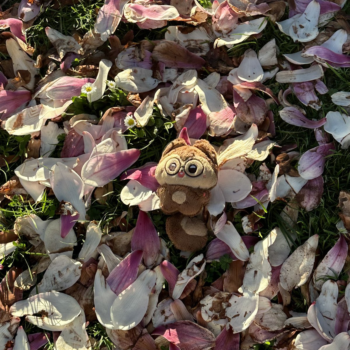 🏔️☃️ tweet media