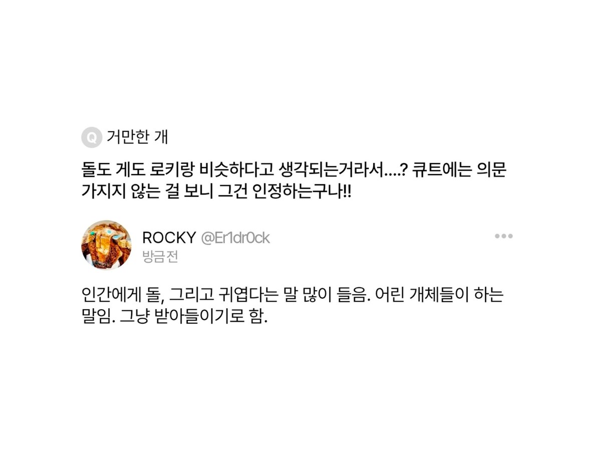 𝚁𝙾𝙲𝙺𝚈 tweet media