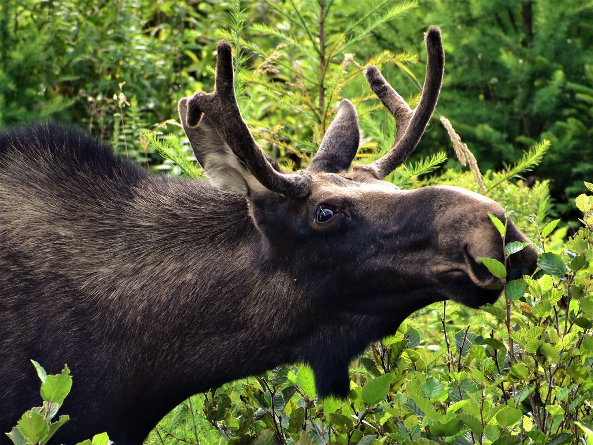 💚Force of Nature💚 tweet media