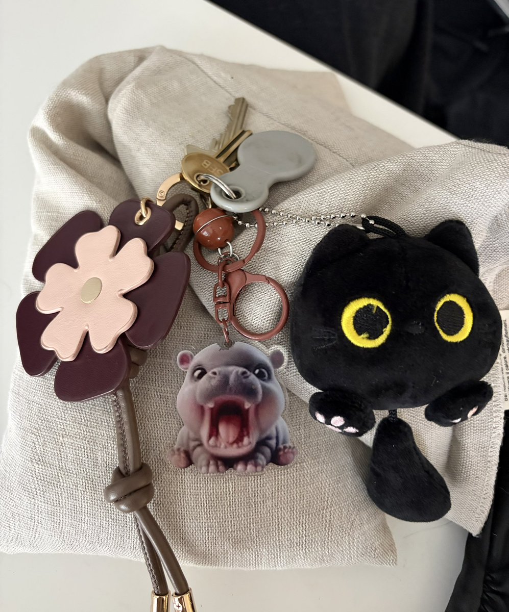 Jan 🤓😸😸😸😸 tweet media