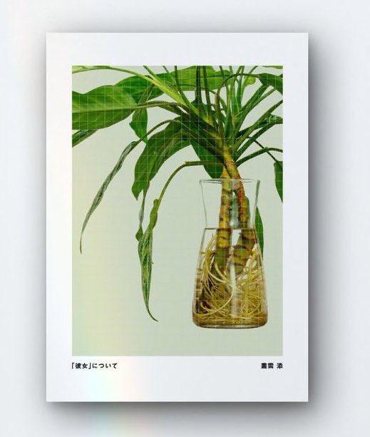 アグラオネマを土植えから水耕栽培に切り替えた場合、土用の根は水の中では機能しにくいので、古い根を枯らして水用の根(水生根)を生やすことで新しい環境で生きられるように体質を作り変えるらしい(逆も然り)

表紙の彼女は過去もしくは現在・未来の添自身の内面が変化する(した)ことを表してるとか。