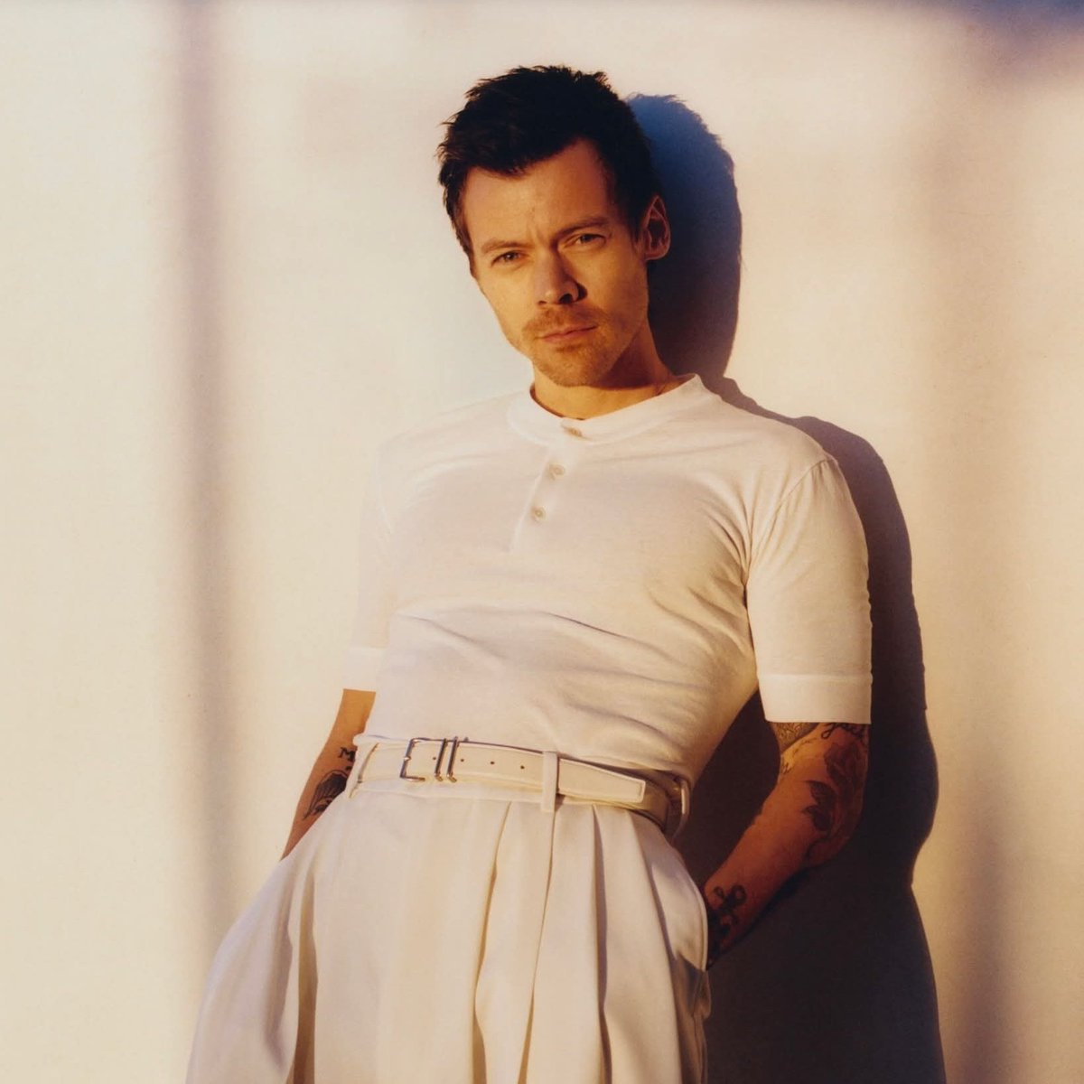 Harry Stats tweet media