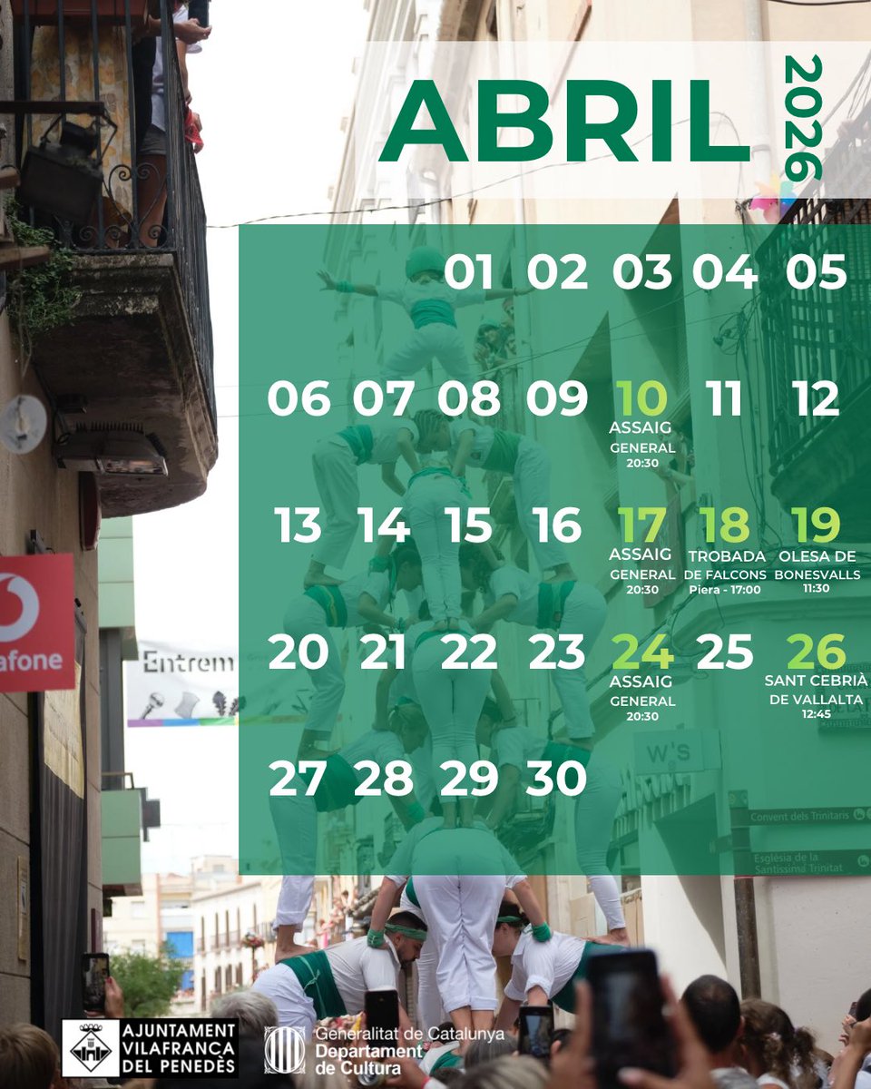 Falcons Vilafranca tweet media