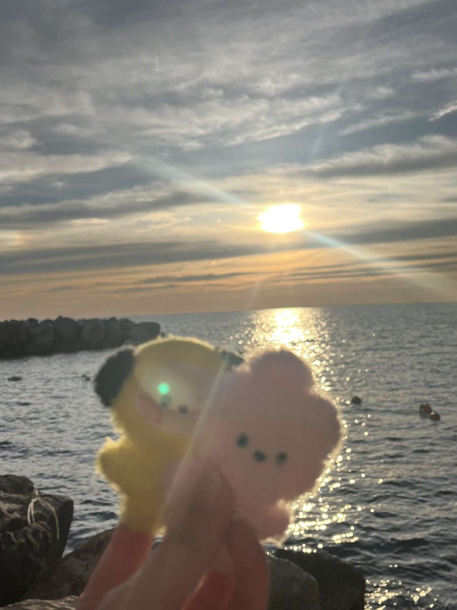 dice⁷🌿 tweet media