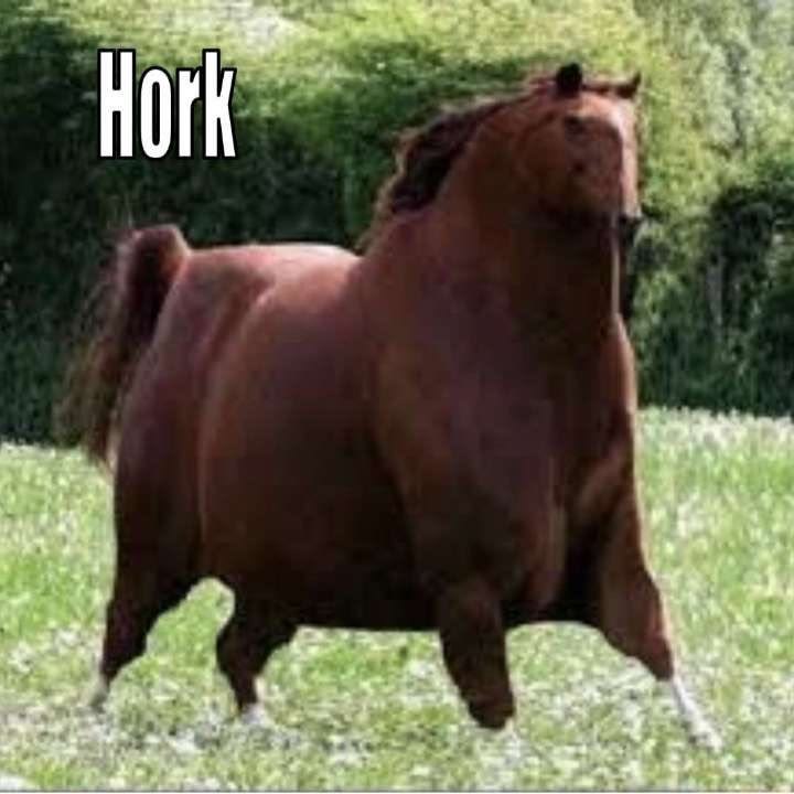 ⛧felipe⛧(jester arc) tweet media