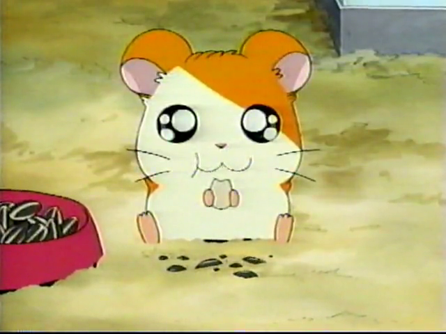 Hamtaro・ハム太郎 tweet media