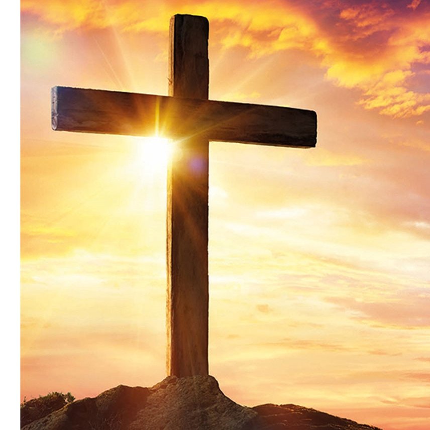 James Edwards tweet media